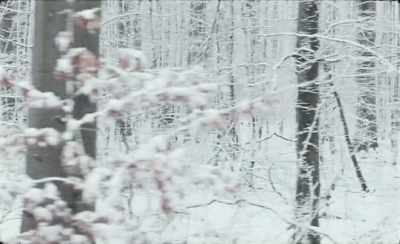 - Everyone has a little darkness
in them. - No, they don't. - Winter Brothers
