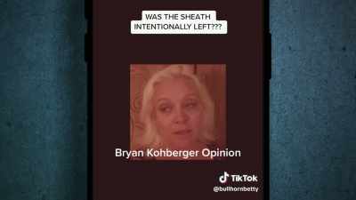 - Everyone described Kohberger - #CyberSleuths: The Idaho Murders