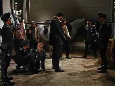 Everyone but my staff 
better get out of here. - Miracle of the White Stallions