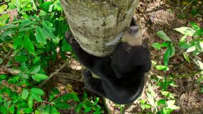 Everyone needs a safe
place to call home. - The Secret Lives of Animals