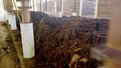 Everyone should know the importance
of poop and its potential. - Human: The World Within