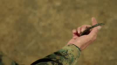 Everyone stand fast, right where you are. - Scorpion