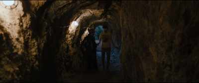 Everything belongs
to the coyotes. - Under the Silver Lake