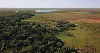 Everything changed
when we went to Iberá. - Wild Life