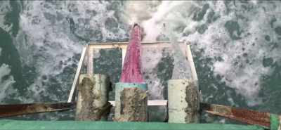 Everything eventually
flows into the sea, - Eating Our Way to Extinction