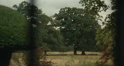 Everything here on the
property is perfect. - The Nest