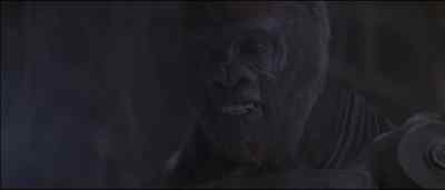 Everything I have believed is a lie! - Planet of the Apes