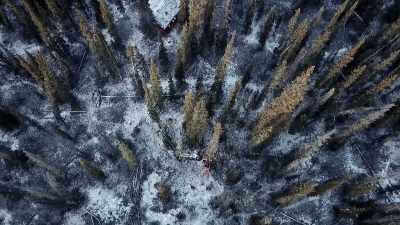 Everything out here
has access to my fridge, - Life Below Zero: Next Generation