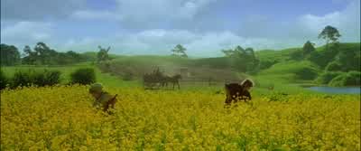 Everything? - The Lord of the Rings: The Fellowship of the Ring