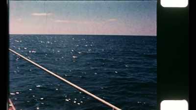 Everything, sensory,
visual, auditory... - David Crosby: Remember My Name