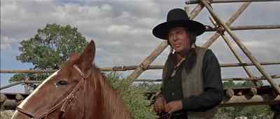 Everything set
with Wild Horse? - The War Wagon