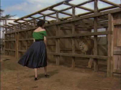 Everything snarls around this joint - Mogambo