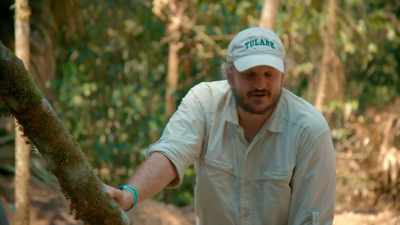 Everything is starting
to tense up - Lost Treasures of the Maya