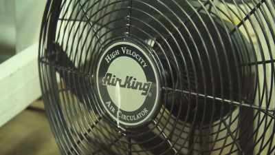 Everything is temperature,
light regulated, - Wake & Bake with Dom Brown
