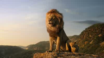 Everything the light touches is our kingdomYou rule all of thatYesBut a king's time as rulerrises and falls like the sunOne day Simbathe sun will set on my time hereand will rise with you as the new king - The Lion King