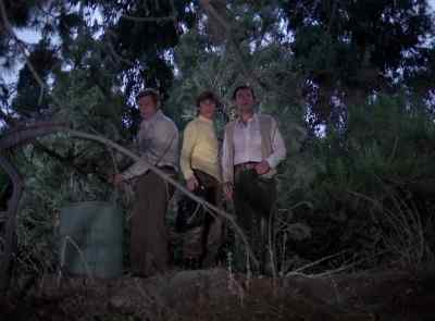 Everything'll be alright, Doctor. - The Six Million Dollar Man