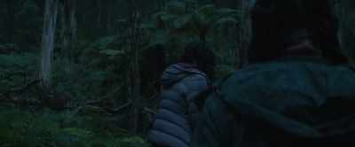 Everything's gonna be okay. - Force of Nature: The Dry 2