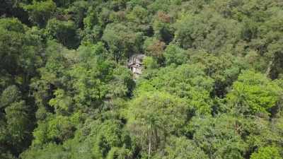 Everywhere you look, you are
just surrounded by this canopy
that is the jungle. - Mysteries of the Abandoned