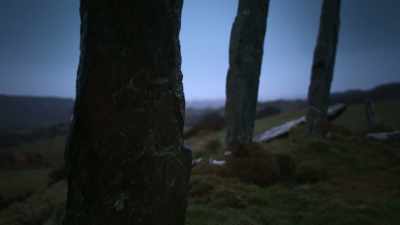 Evidence came through in small bits - Sophie: A Murder in West Cork