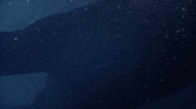 Evidence for this is limited,
but some have questioned - Mysteries of the Deep