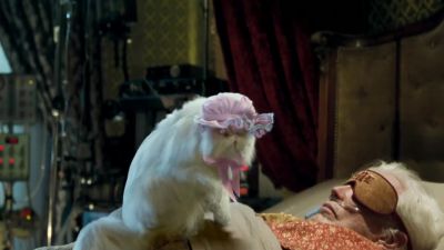 Evil does not wear a bonnet - Cats &amp; Dogs