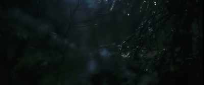 Evil spirits
lurking in the swamps - The Widow