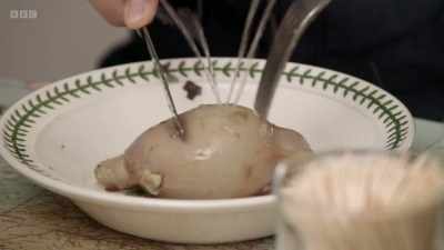 Ew! No! That's revolting! - The Human Body: Secrets of Your Life Revealed