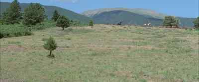 Ewing's moving
his cattle on your land. - Comes a Horseman