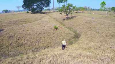 EXCAVATIONS AT THE GEOGLYPH
HAVE REVEALED - Lost Cities of the Amazon