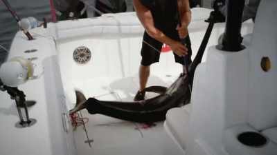 [exclaims] - Deadliest Catch: Bloodline