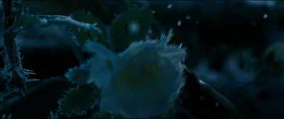 (EXCLAIMS) - Beauty and the Beast