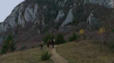 Excuse me?
Do you know where I can find a dragon? - Dragonheart Vengeance