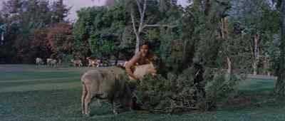Excuse me, ladies. - Journey to the Center of the Earth