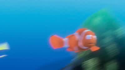 Excuse me. - Finding Nemo