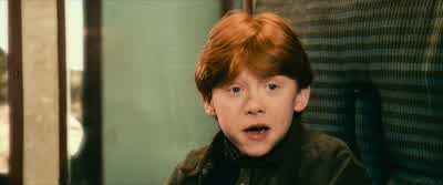 Excuse me. - Harry Potter and the Philosopher's Stone