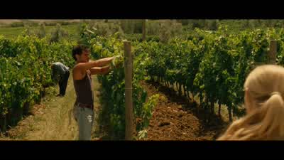 Excuse me. - Letters to Juliet