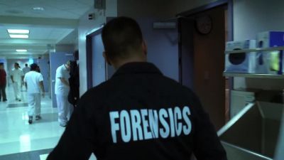 Excuse me. - CSI: Crime Scene Investigation