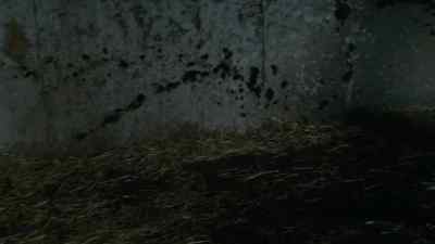Excuse me, - The Terror
