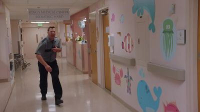 Excuse me! Stop! - Hawaii Five-0