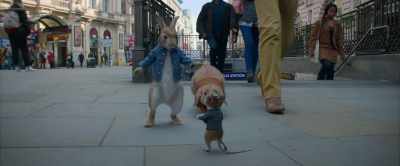 Excuse me, town mouse, do you
know how to get to Harrods? - Peter Rabbit