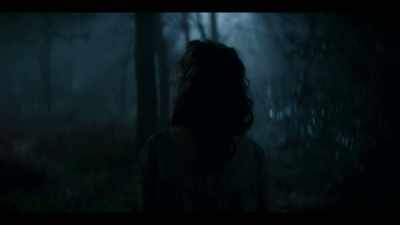 Executioners. - The Irregulars