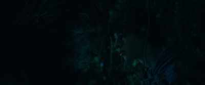 (exhales, grunts softly) - The Animal Kingdom