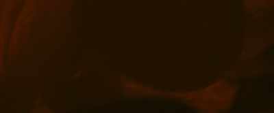 [exhales] - Paranormal Activity: Next of Kin