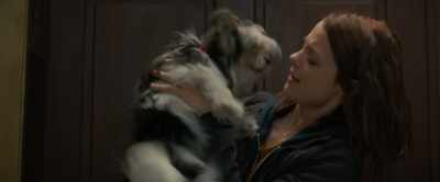 [exhales] - A Dog's Journey