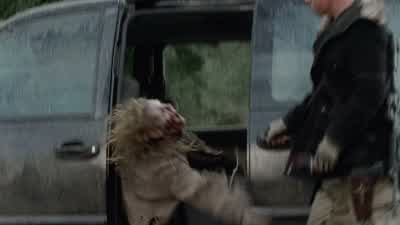 You got him? - The Walking Dead