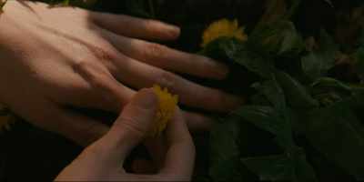 - [exhales sharply] - Moonhaven