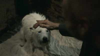 [EXHALES SHARPLY] - The Watch