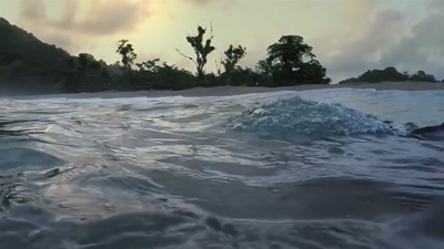 'Exhausted,
she must recoup her energy - A Year on Planet Earth