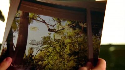 Explain to me the blood drops. - CSI: Miami