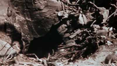 [explosion] - The Pacific War in Color